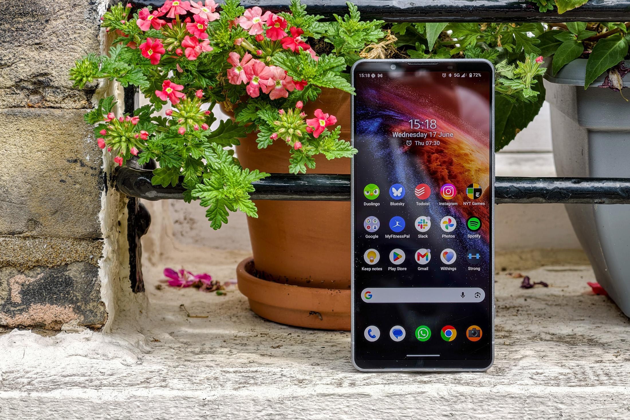 Photo of the Sony Xperia 1 VIII sitting on a windowsill in front of flowers, showing the home screen