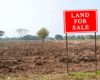 State contractor, three firms face auction of 65 properties over Sh1.4bn Equity loan
