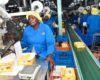State eyes Sh1.4 billion from new tea export, import levy