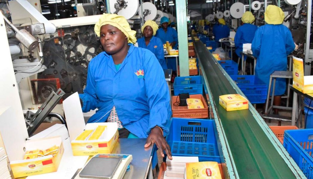 State eyes Sh1.4 billion from new tea export, import levy