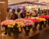 The flower horse that stopped visitors, and told a bigger story