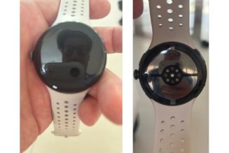 The Google Pixel Watch 5 may have been spoiled by… the creator of Borderlands
