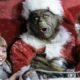 'The Grinch' Live-Action Sequel in Development With Jim Carrey and Ron Howard