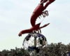 The Improbable Journey of the Dragon Prawn