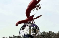 The Improbable Journey of the Dragon Prawn