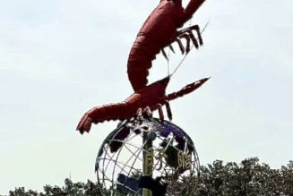 The Improbable Journey of the Dragon Prawn