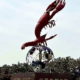 The Improbable Journey of the Dragon Prawn