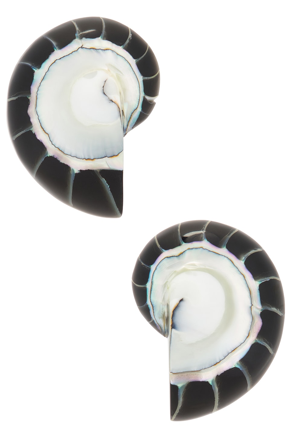 Nautilus Earrings