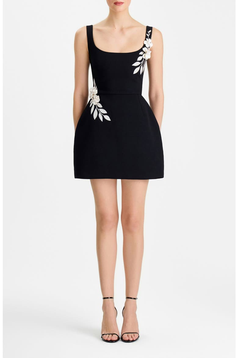 Lana Floral Appliqu&amp;eacute; Fit &amp;amp; Flare Cocktail Minidress