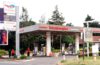 TotalEnergies puts more than half of its fuel stations on solar power
