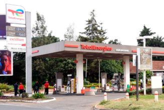 TotalEnergies puts more than half of its fuel stations on solar power