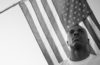 Vince Staples’ Cry Baby Is an American Revolution