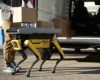 Boston Dynamics tries using ‘robot dogs’ for deliveries