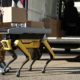 Boston Dynamics tries using ‘robot dogs’ for deliveries