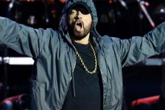 Eminem Loses Australian Trademark Battle Against Beachwear Brand “Swim Shady”
