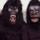 Founding Guerrilla Girl Unmasked as Artist Joyce Kozloff