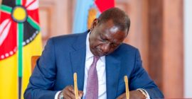 Government-owned enterprises law heralds new era for State corporations