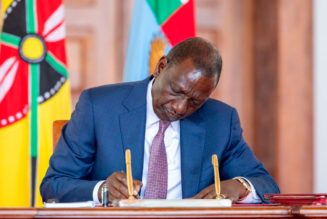 Government-owned enterprises law heralds new era for State corporations
