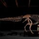Gus the T-Rex Sells for Record $50.1 Million USD at Sotheby's