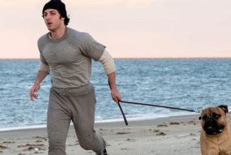 'I Play Rocky' Trailer Sees Anthony Ippolito Channel Sylvester Stallone