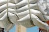 Industrial sugar imports surge on improved product demand
