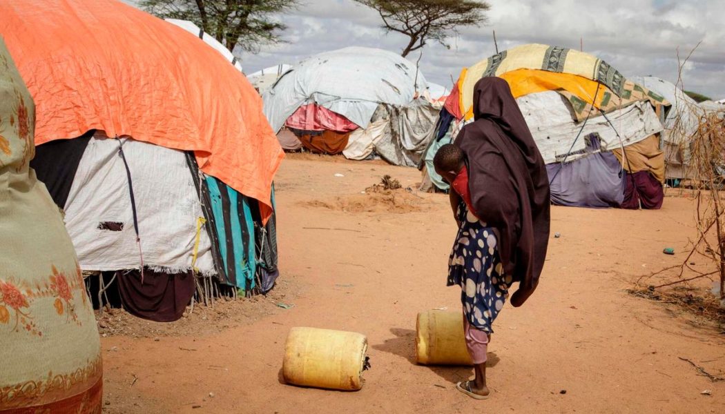 Kenya's new refugee arrivals dip nearly 70pc on lower conflict