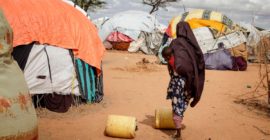 Kenya’s new refugee arrivals dip nearly 70pc on lower conflict