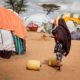 Kenya's new refugee arrivals dip nearly 70pc on lower conflict