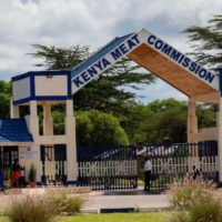 KMC survival in doubt over mounting losses