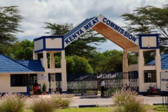 KMC survival in doubt over mounting losses
