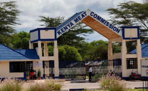 KMC survival in doubt over mounting losses