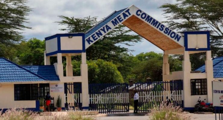 KMC survival in doubt over mounting losses