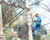 KPLC is setting standard for State-owned firms
