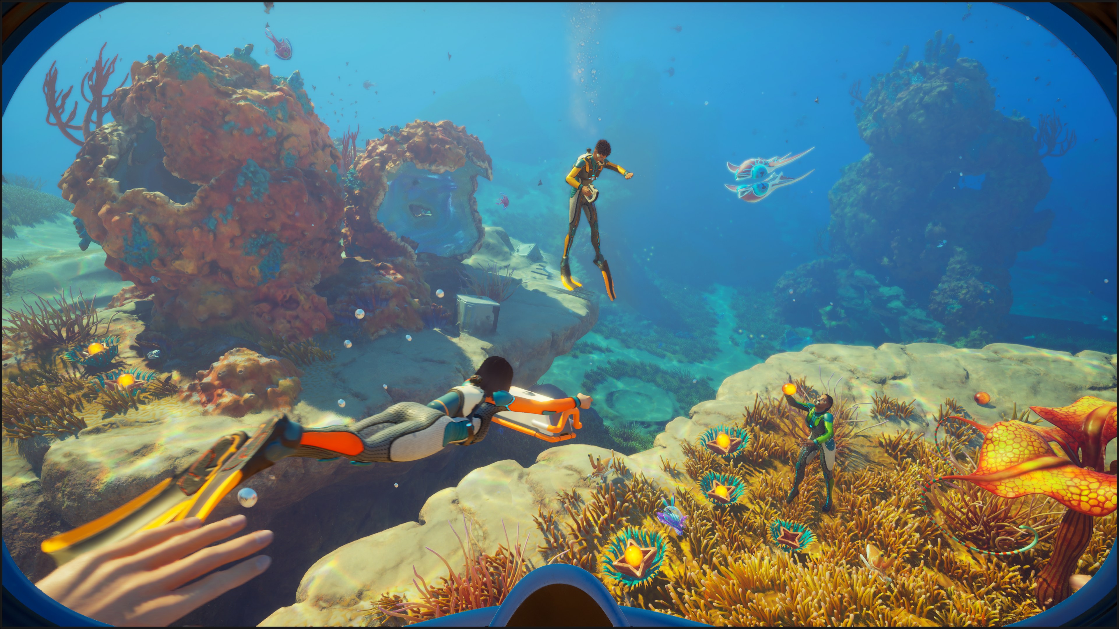 SN2_Coral_Gardens_with_Friends_4K