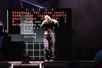 Lorde says Ray-Ban Meta AI glasses are ‘not sexy’