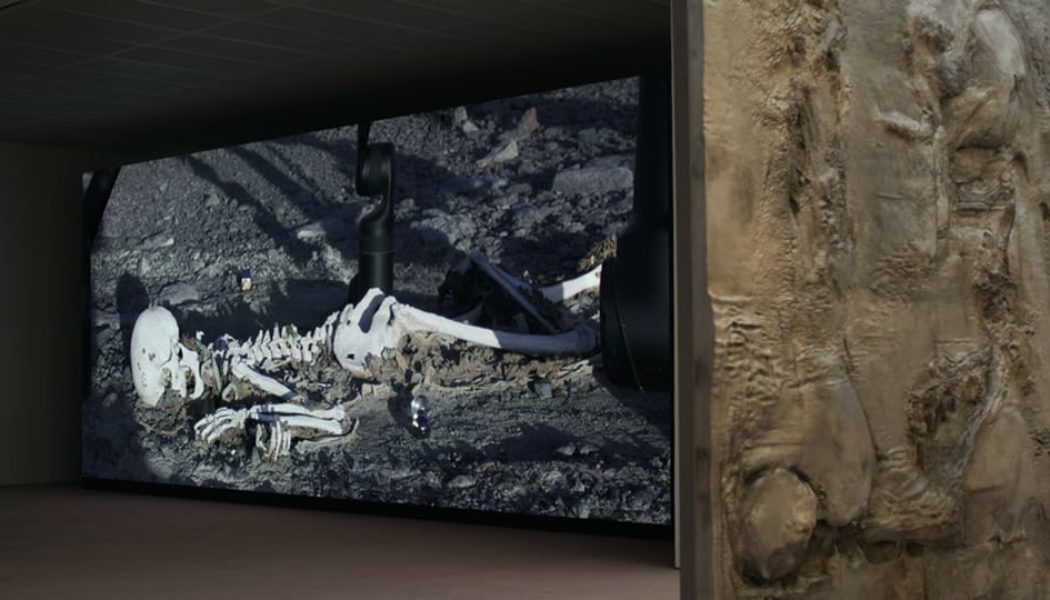 Pierre Huyghe Makes Fondation Beyeler His Maze of Monsters