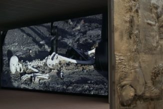 Pierre Huyghe Makes Fondation Beyeler His Maze of Monsters