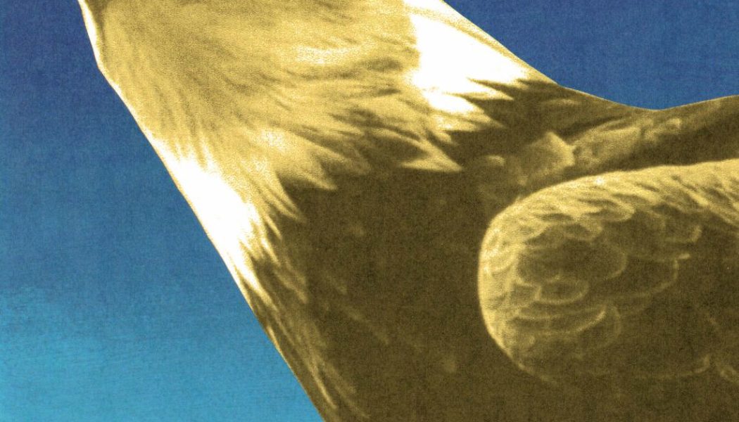 Protomartyr Announce New Album Hotel Usona, Share "Sounds We Cannot Hear"