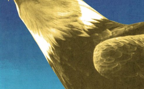 Protomartyr Announce New Album Hotel Usona, Share "Sounds We Cannot Hear"