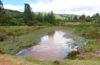 Stalled Uhuru-era Nandi dam revived at triple the cost