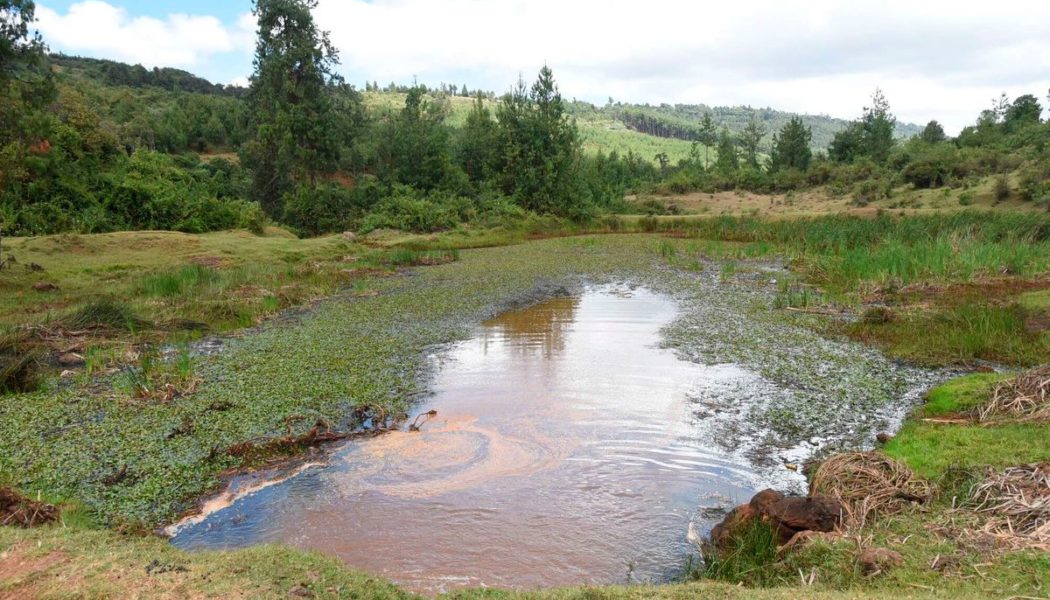 Stalled Uhuru-era Nandi dam revived at triple the cost