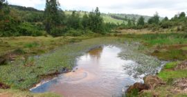 Stalled Uhuru-era Nandi dam revived at triple the cost