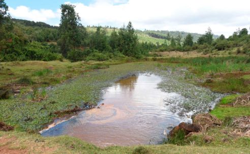Stalled Uhuru-era Nandi dam revived at triple the cost