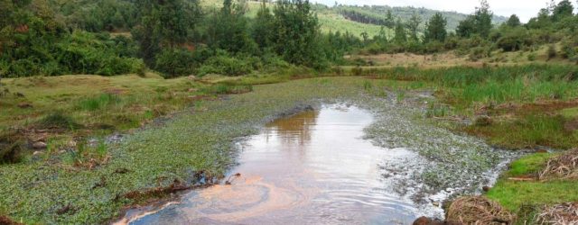 Stalled Uhuru-era Nandi dam revived at triple the cost