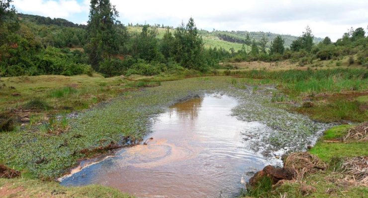 Stalled Uhuru-era Nandi dam revived at triple the cost