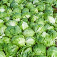 Taylor Farms pulls iceberg lettuce from the US market after cyclosporiasis outbreak
