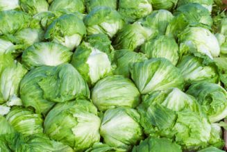 Taylor Farms pulls iceberg lettuce from the US market after cyclosporiasis outbreak