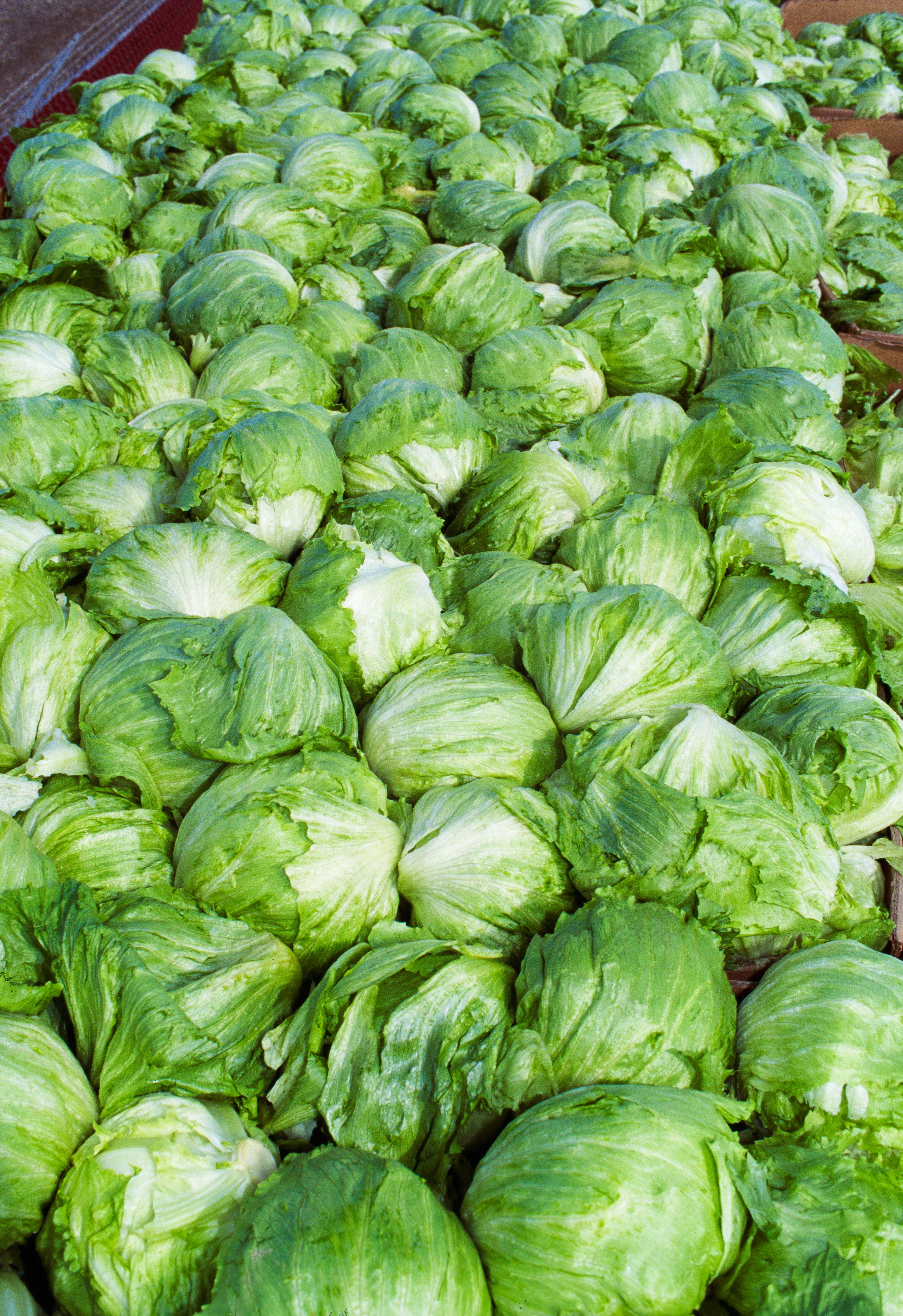 Agriculture