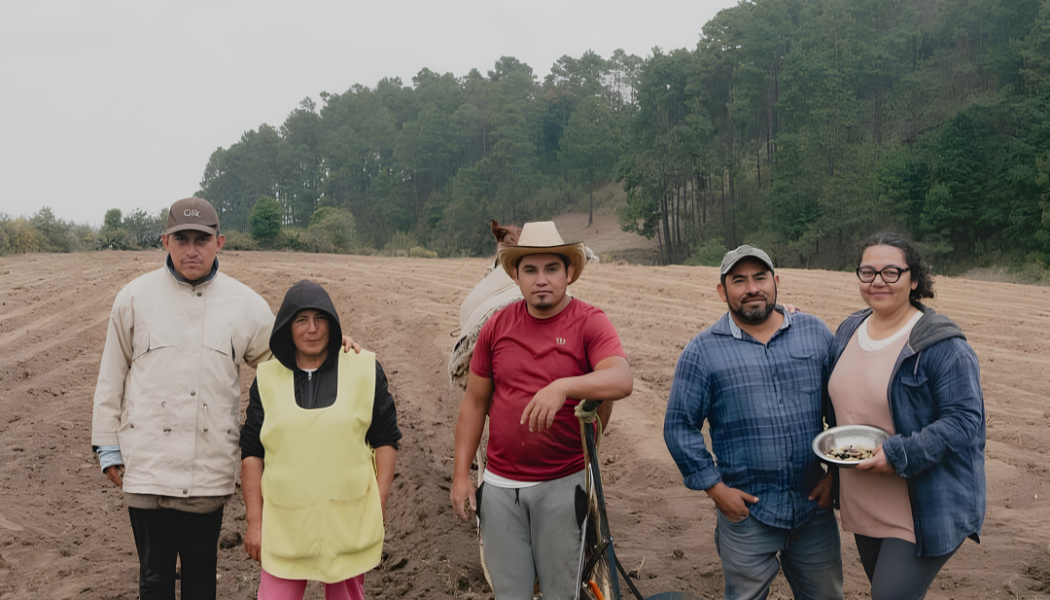 The Ancestral Corn Farmers of Villa del Carbón