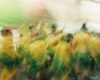 The Best Photo Shows at Les Rencontres d’Arles 2026